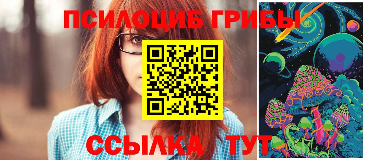 наркошоп  Вход с VPN  Рубцовск  Галлюциногенные грибы мицелий 