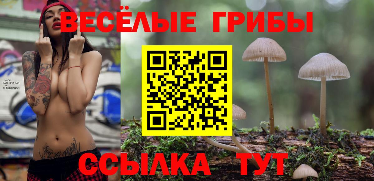 Псилоцибиновые грибы мицелий Рубцовск